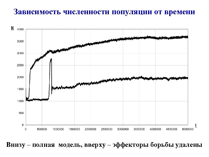 Зависимость численности популяции от времени Внизу – полная модель, вверху – эффекторы борьбы удалены