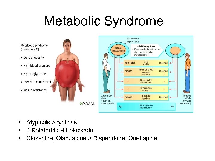 Metabolic Syndrome • Atypicals > typicals • ? Related to H 1 blockade •