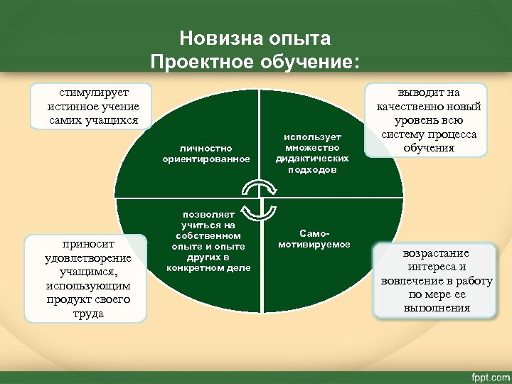 Новизна опыта Проектное обучение: стимулирует истинное учение самих учащихся личностно ориентированное приносит удовлетворение учащимся,