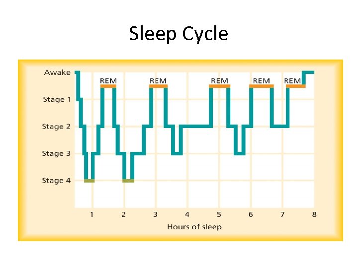 Sleep Cycle 