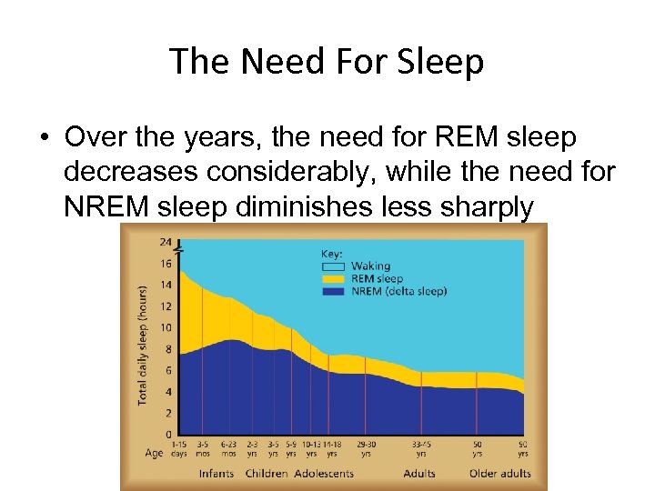 The Need For Sleep • Over the years, the need for REM sleep decreases