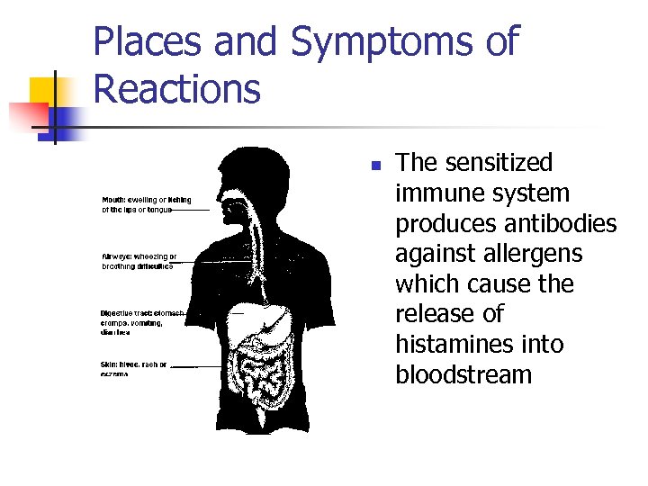 Places and Symptoms of Reactions n The sensitized immune system produces antibodies against allergens