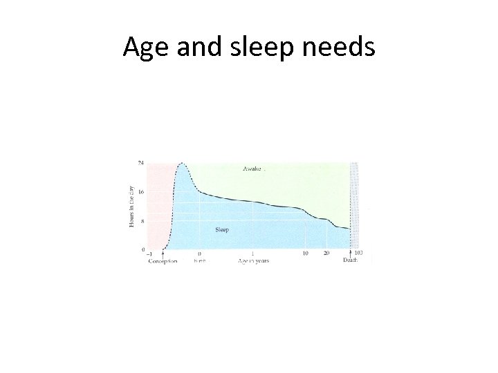 Age and sleep needs 