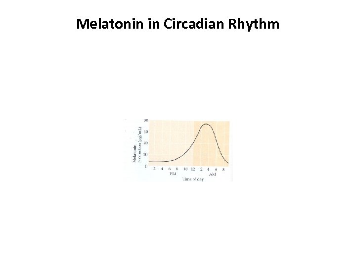 Melatonin in Circadian Rhythm 