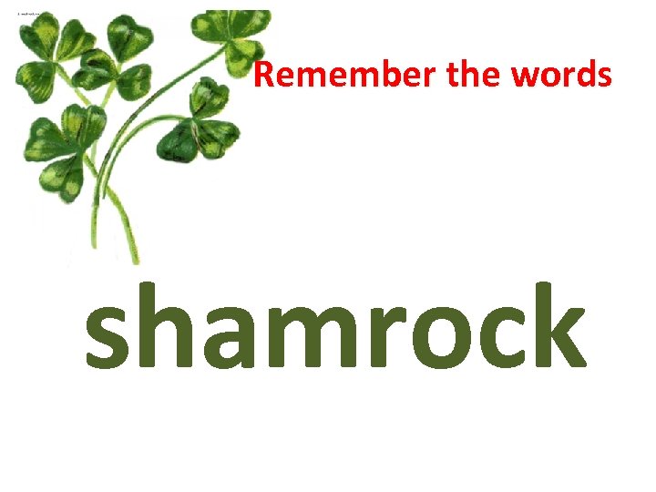 Remember the words shamrock 