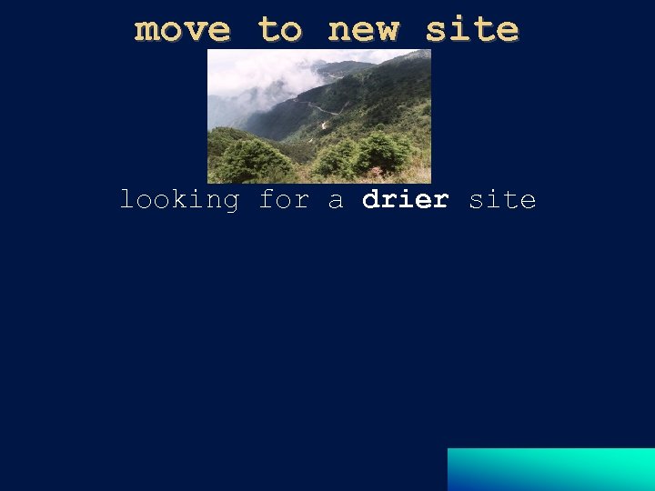 move to new site looking for a drier site 