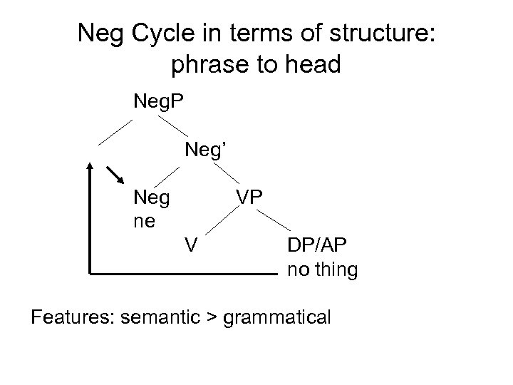 Neg Cycle in terms of structure: phrase to head Neg. P Neg’ Neg ne