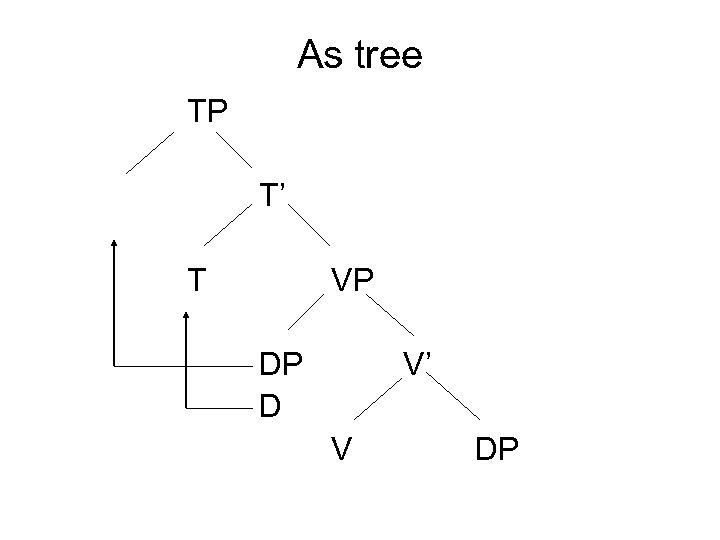 As tree TP T’ T VP DP D V’ V DP 