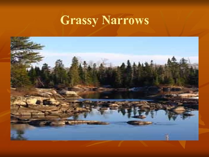 Grassy Narrows 