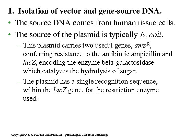 1. Isolation of vector and gene-source DNA. • The source DNA comes from human