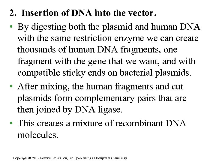 2. Insertion of DNA into the vector. • By digesting both the plasmid and