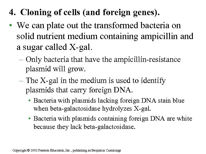 4. Cloning of cells (and foreign genes). • We can plate out the transformed