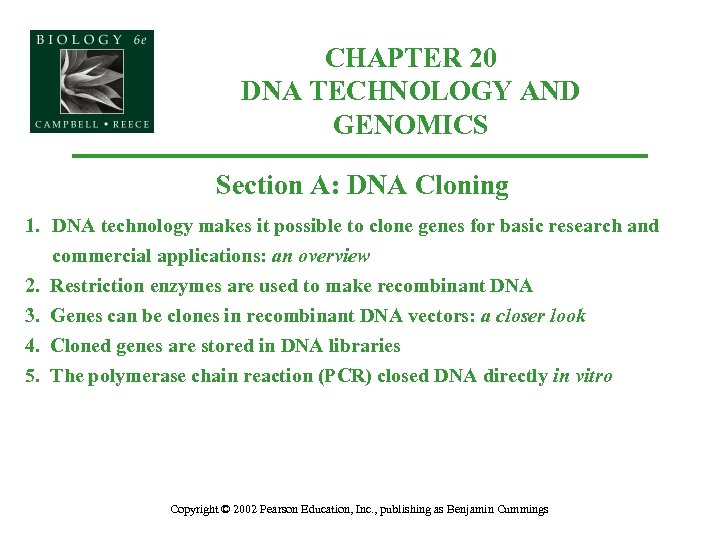 CHAPTER 20 DNA TECHNOLOGY AND GENOMICS Section A: DNA Cloning 1. DNA technology makes