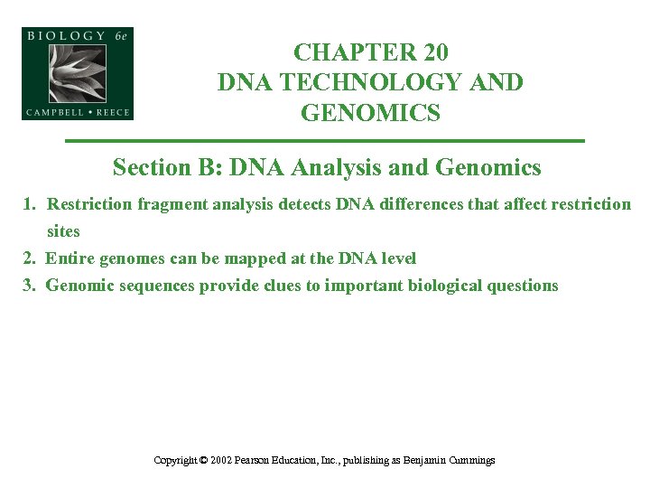 CHAPTER 20 DNA TECHNOLOGY AND GENOMICS Section B: DNA Analysis and Genomics 1. Restriction