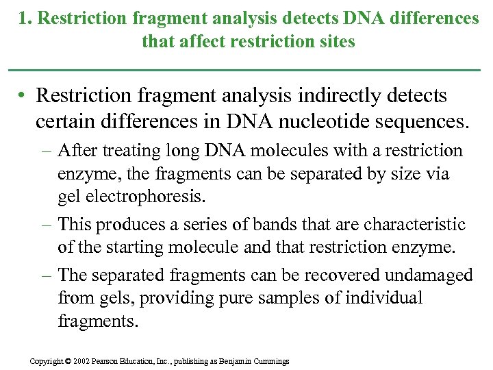 1. Restriction fragment analysis detects DNA differences that affect restriction sites • Restriction fragment