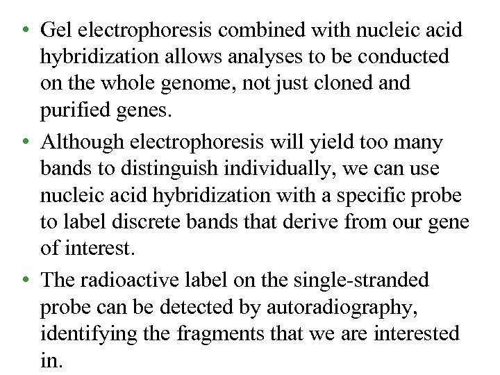  • Gel electrophoresis combined with nucleic acid hybridization allows analyses to be conducted