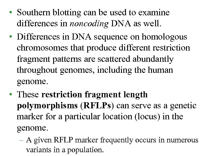  • Southern blotting can be used to examine differences in noncoding DNA as