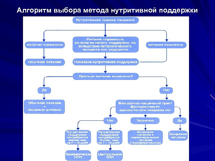 Алгоритм выбора метода нутритивной поддержки 