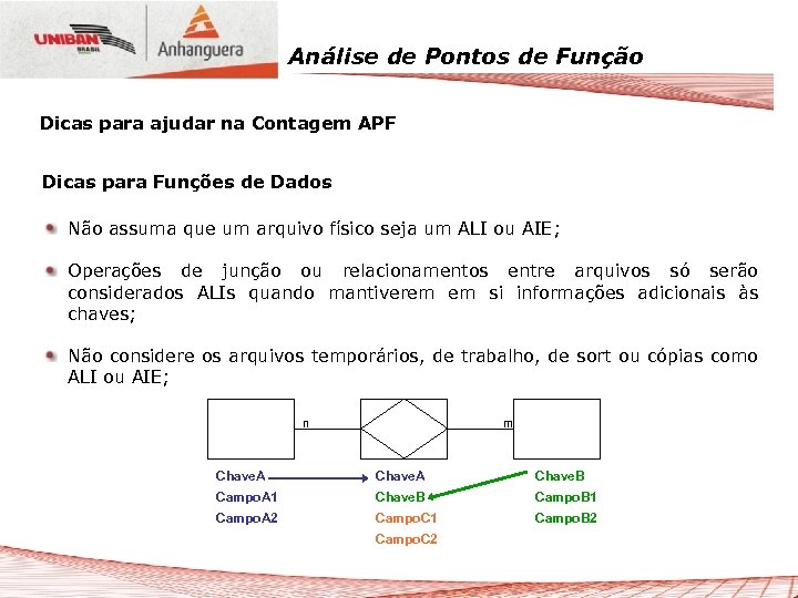Análise de Pontos de Função Dicas para ajudar na Contagem APF Dicas para Funções