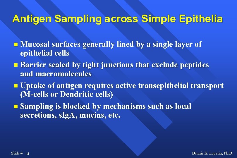 Antigen Sampling across Simple Epithelia Mucosal surfaces generally lined by a single layer of
