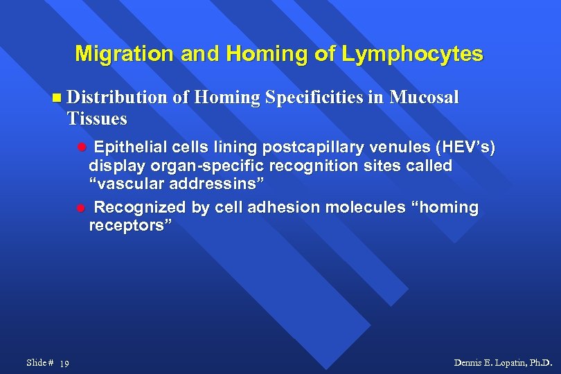 Migration and Homing of Lymphocytes Distribution of Homing Specificities in Mucosal Tissues Epithelial cells