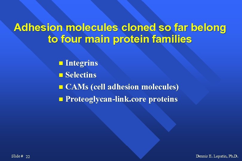 Adhesion molecules cloned so far belong to four main protein families Integrins Selectins CAMs