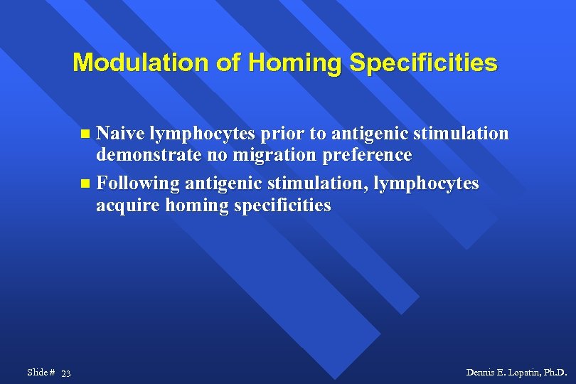 Modulation of Homing Specificities Naive lymphocytes prior to antigenic stimulation demonstrate no migration preference