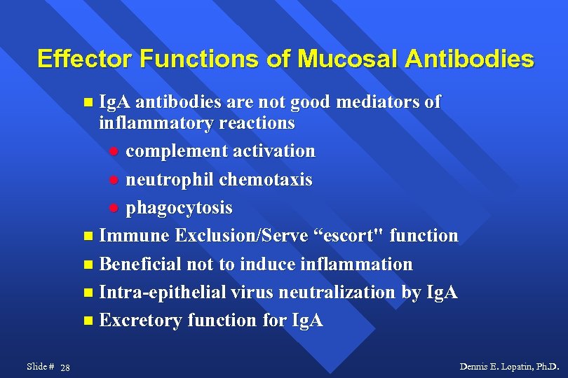 Effector Functions of Mucosal Antibodies Ig. A antibodies are not good mediators of inflammatory