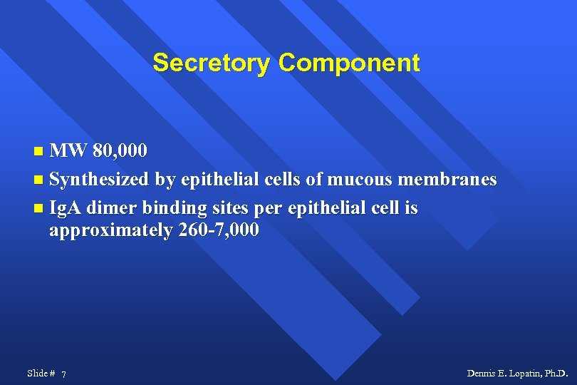 Secretory Component MW 80, 000 Synthesized by epithelial cells of mucous membranes Ig. A