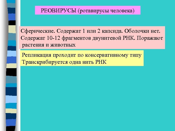 РЕОВИРУСЫ (ротавирусы человека) Сферические. Содержат 1 или 2 капсида. Оболочки нет. Содержат 10 -12