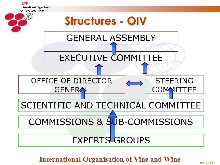 International Organisation of Vine and Wine Structures - OIV GENERAL ASSEMBLY EXECUTIVE COMMITTEE OFFICE