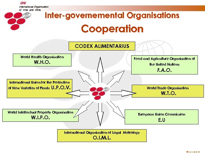 International Organisation of Vine and Wine Inter-governemental Organisations Cooperation CODEX ALIMENTARIUS World Health Organisation