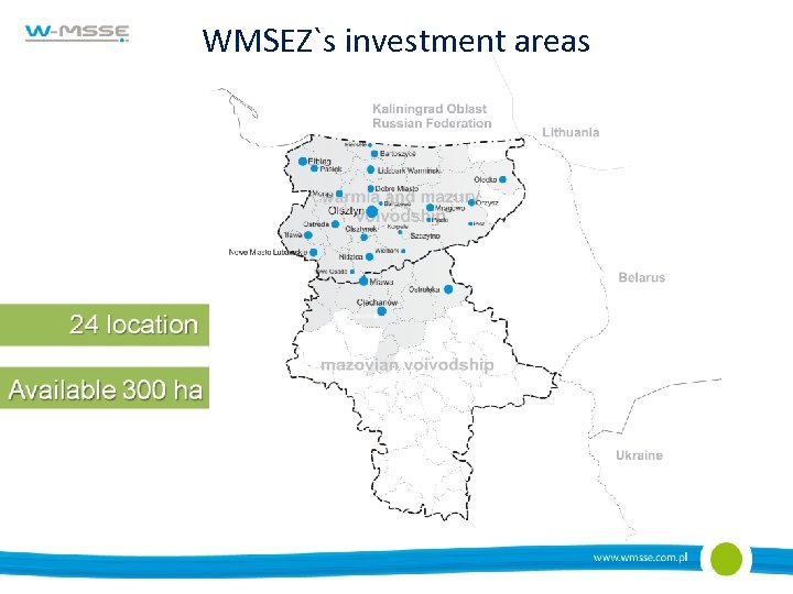 WMSEZ`s investment areas 