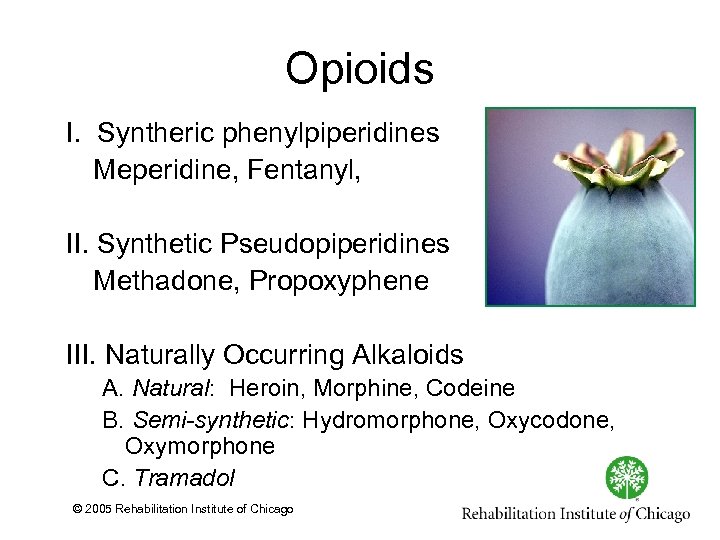Opioids I. Syntheric phenylpiperidines Meperidine, Fentanyl, II. Synthetic Pseudopiperidines Methadone, Propoxyphene III. Naturally Occurring
