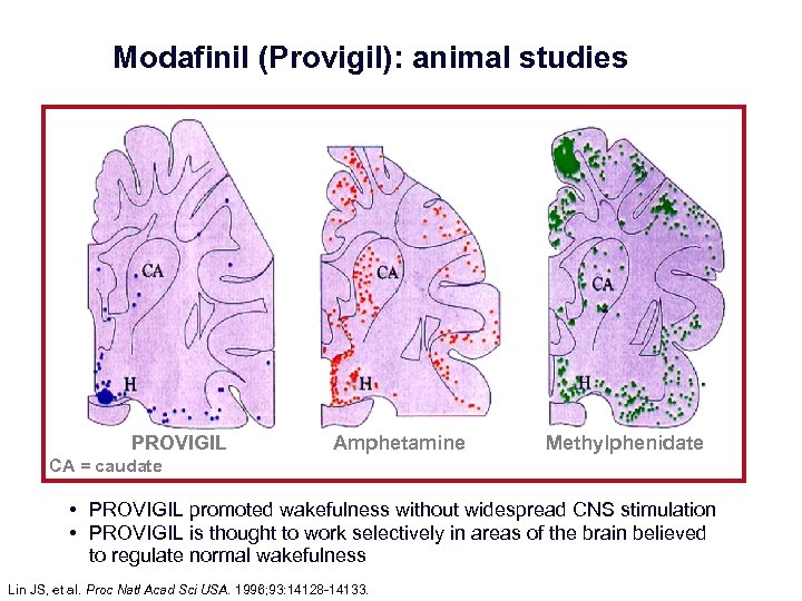 Modafinil (Provigil): animal studies PROVIGILhypothalamus Amphetamine H= Methylphenidate CA = caudate • PROVIGIL promoted