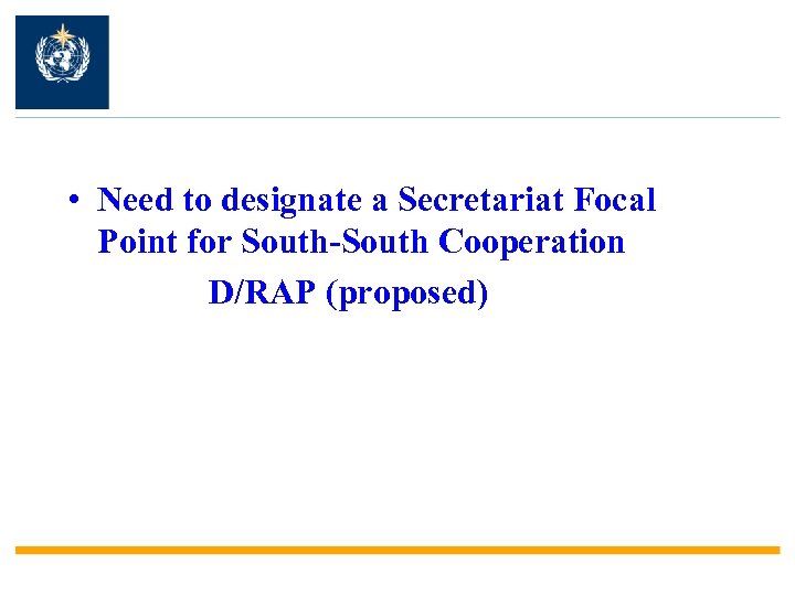  • Need to designate a Secretariat Focal Point for South-South Cooperation D/RAP (proposed)