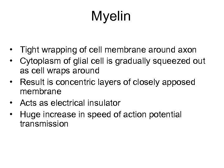 Myelin • Tight wrapping of cell membrane around axon • Cytoplasm of glial cell