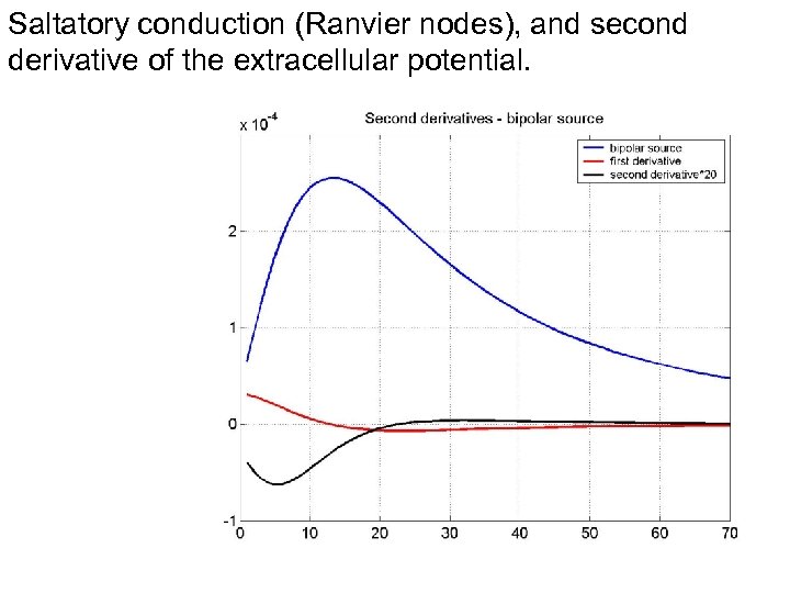 Saltatory conduction (Ranvier nodes), and second derivative of the extracellular potential. 