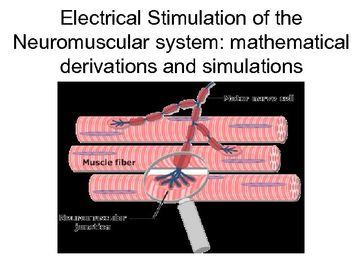 Electrical Stimulation of the Neuromuscular system: mathematical derivations and simulations 