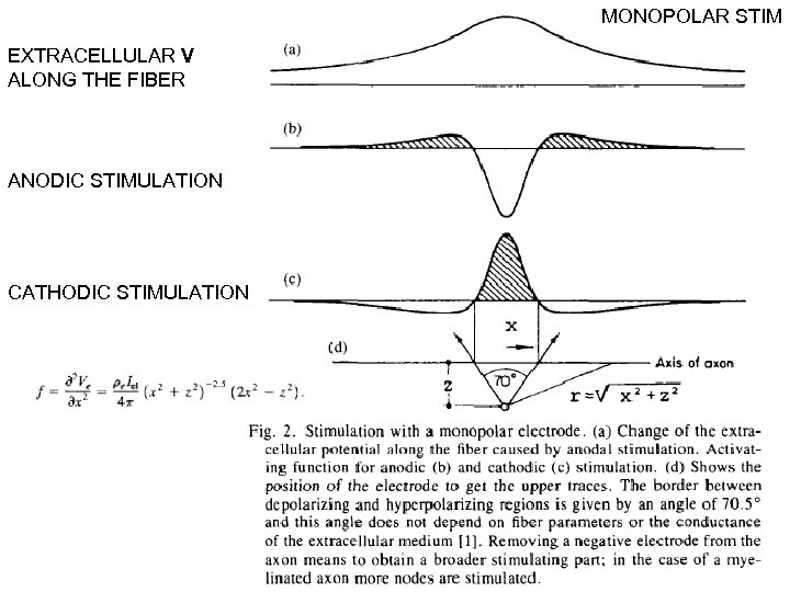 MONOPOLAR STIM EXTRACELLULAR V ALONG THE FIBER ANODIC STIMULATION CATHODIC STIMULATION 