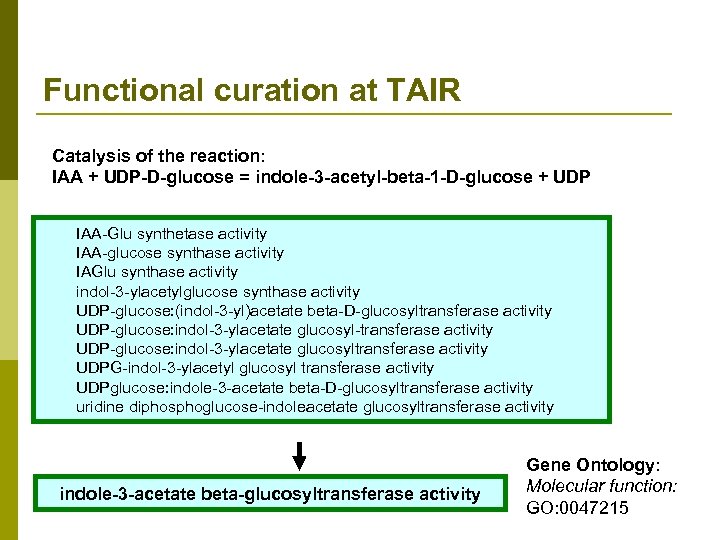 Functional curation at TAIR Catalysis of the reaction: IAA + UDP-D-glucose = indole-3 -acetyl-beta-1