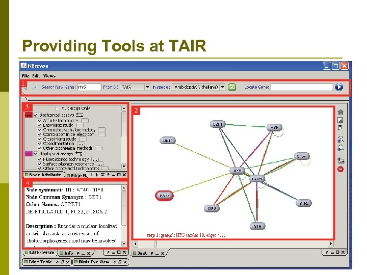 Providing Tools at TAIR 