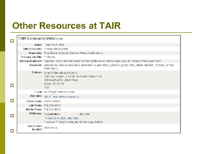 Other Resources at TAIR p Ordering system for the Arabidopsis Biological Resource Center n