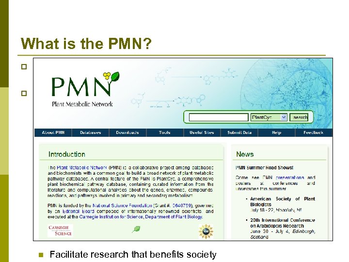 What is the PMN? p “A Network of Plant Metabolic Pathway Databases and Communities”