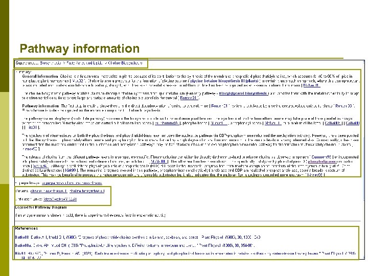 Pathway information 