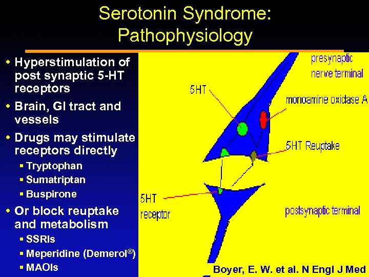 Serotonin Syndrome: Pathophysiology Hyperstimulation of post synaptic 5 -HT receptors Brain, GI tract and