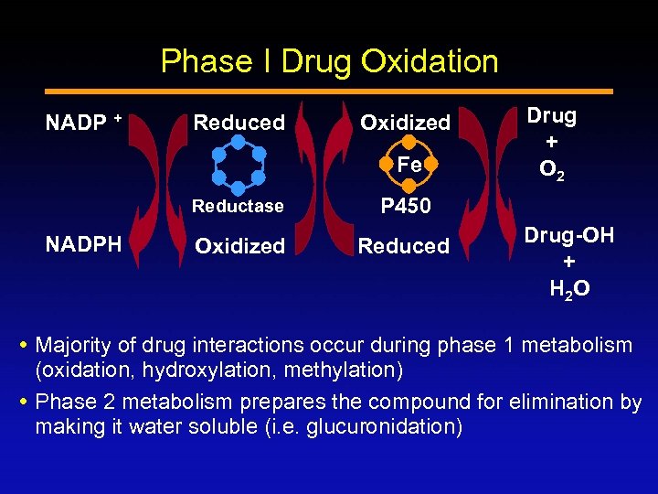 Phase I Drug Oxidation NADP + Reduced Oxidized Fe Reductase NADPH P 450 Oxidized