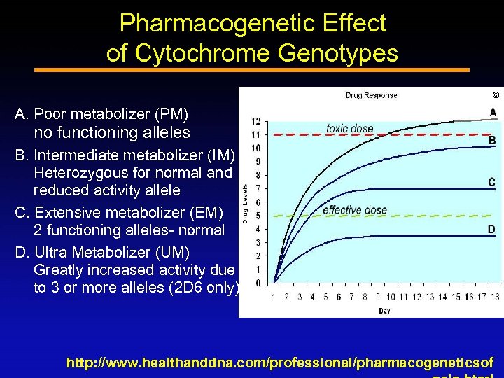 Pharmacogenetic Effect of Cytochrome Genotypes © A. Poor metabolizer (PM) no functioning alleles B.