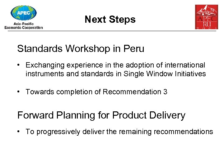 Next Steps Standards Workshop in Peru • Exchanging experience in the adoption of international