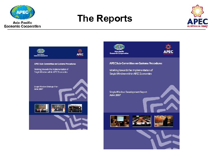 The Reports 